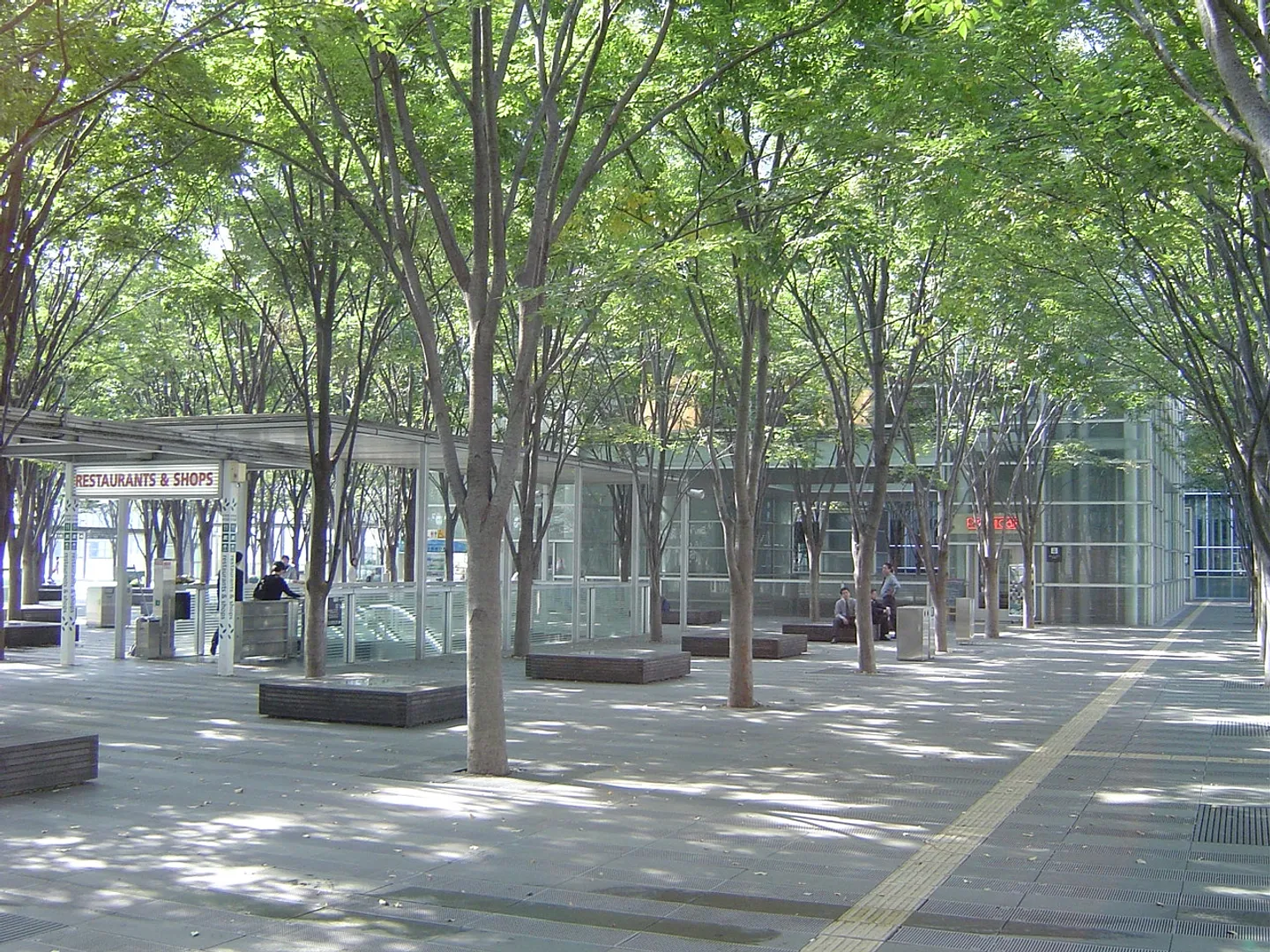 現在の夜景やイルミネーション